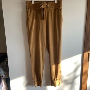 COPY - Dynamite Gold jogger style dress pant